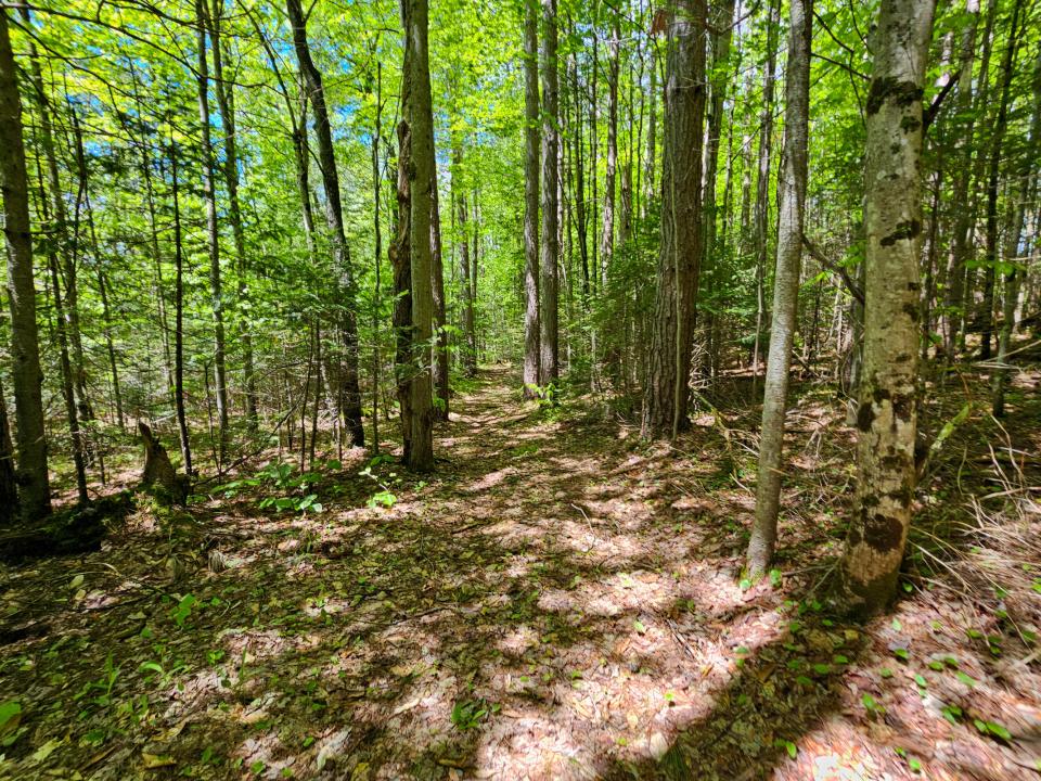 0000X Brady Beach Road Russia, NY 13431