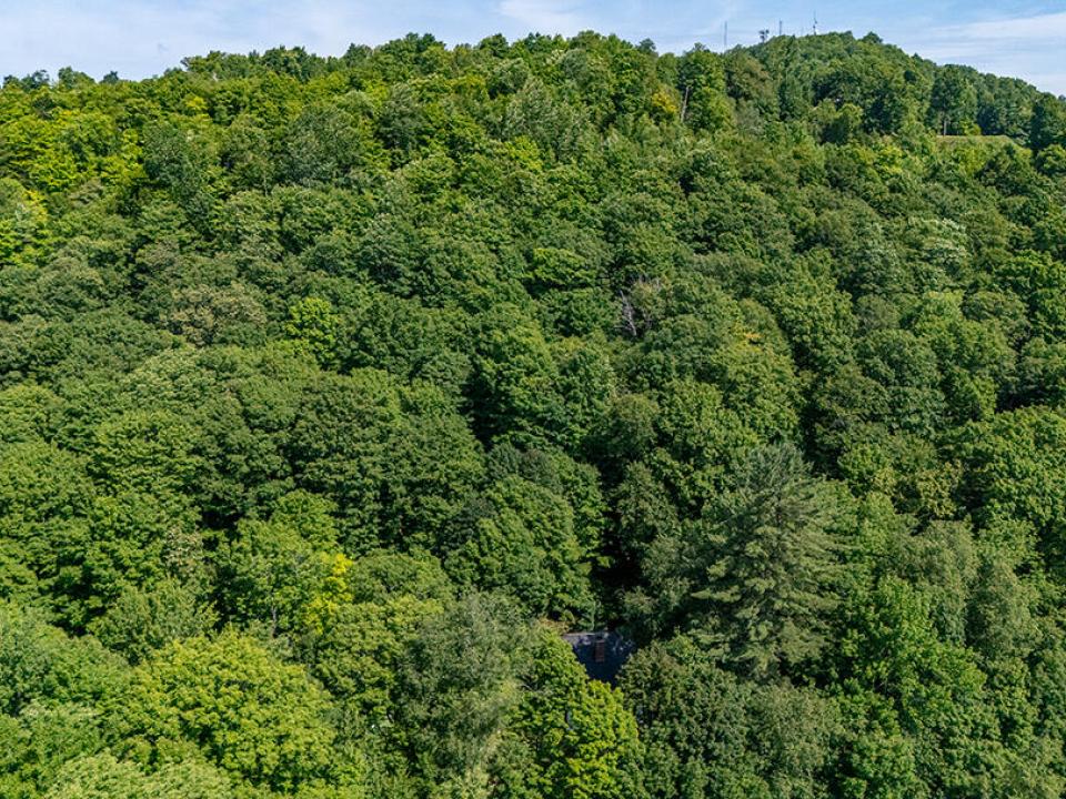 CharmingHomeOnMountainLane_A_Property_Mo