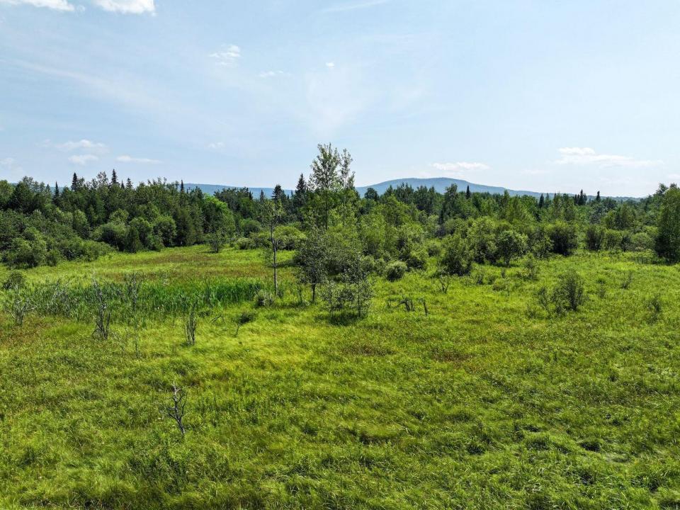45.1 Acres Route 374 45.1 Acres Route 374