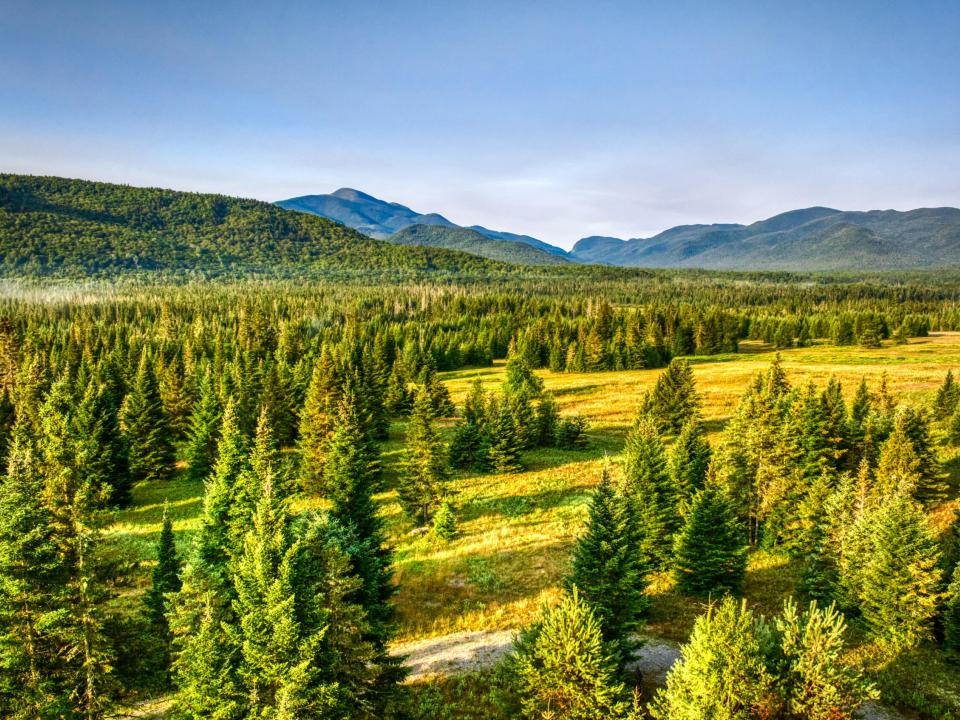 DJI_20250802063733_0321_D