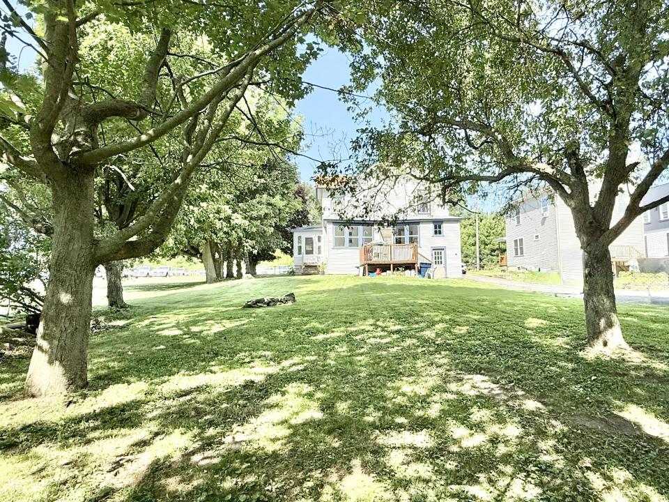 Back yard