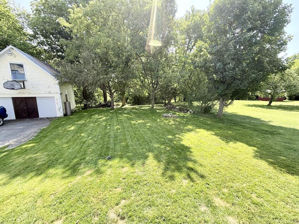Back yard