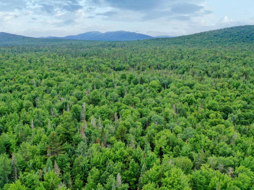 DJI_0472_CCred