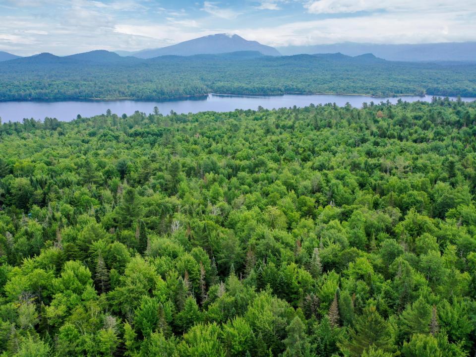 DJI_0480_CCred