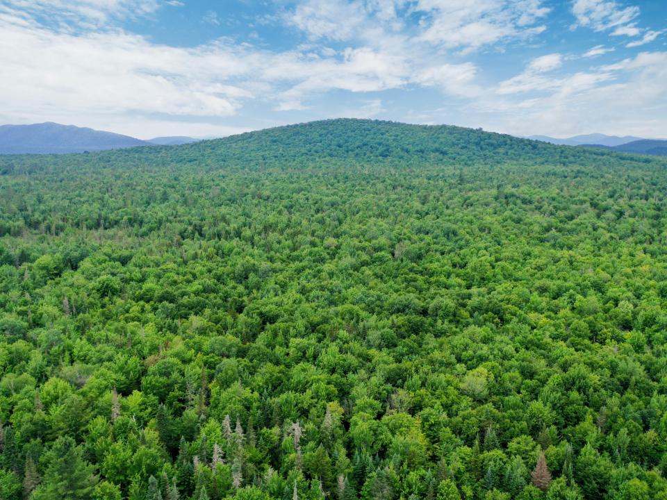 DJI_0505_CCred