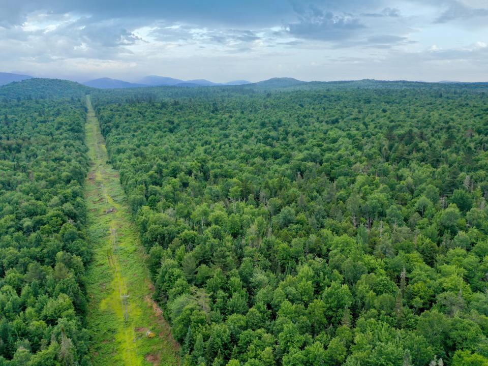 DJI_0507_CCred
