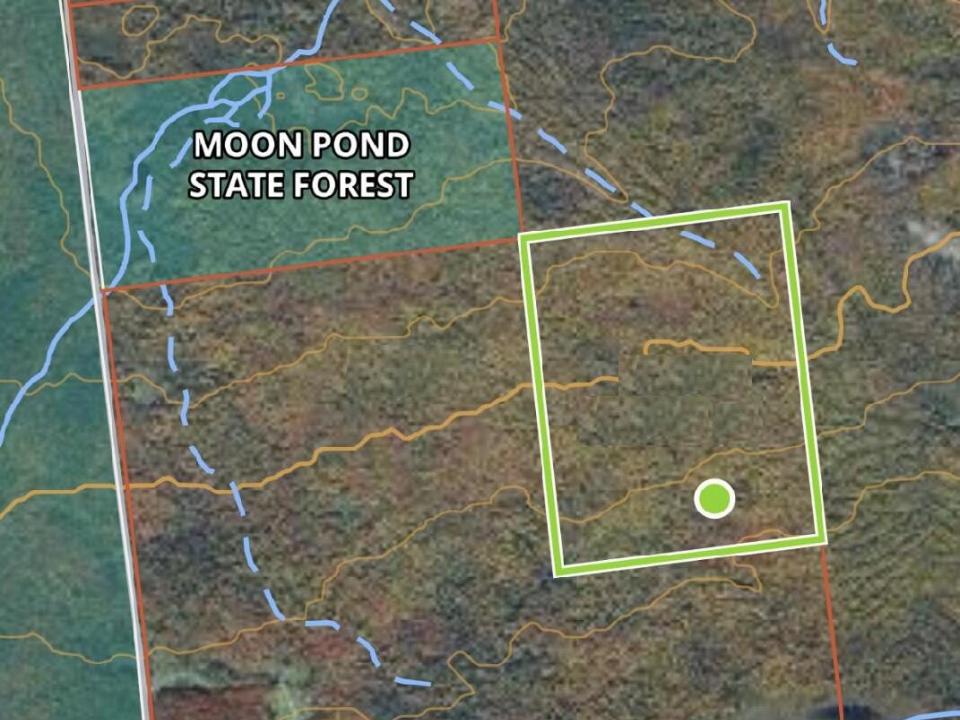 Sharrett Land 87 acres 3