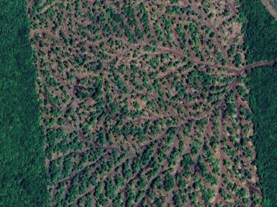 Sharrett Land 87 acres 2