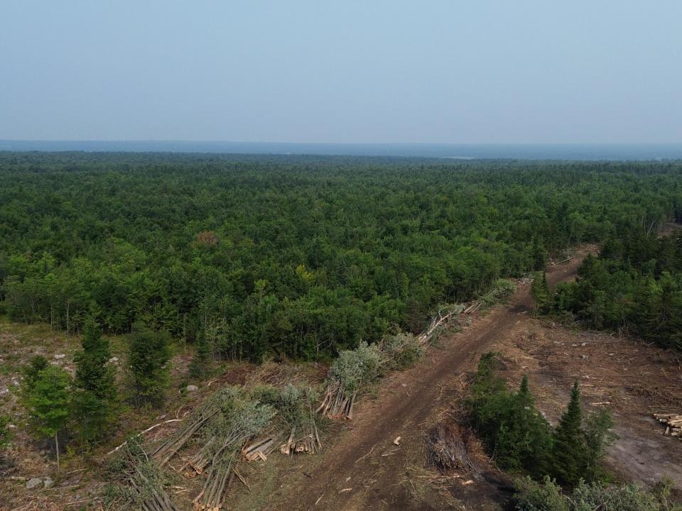 DJI_0489