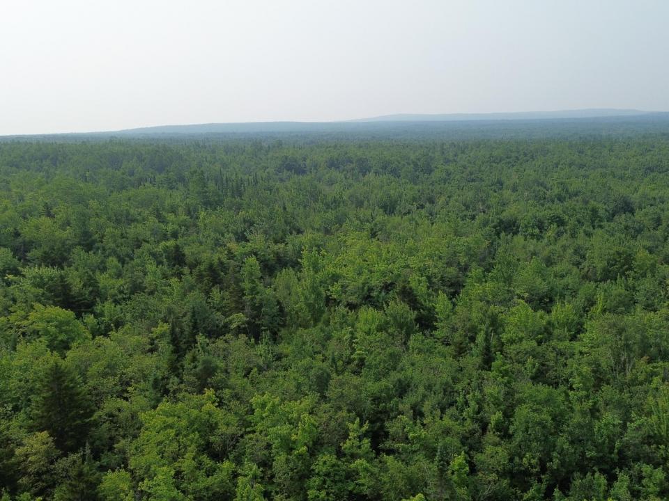 DJI_0490