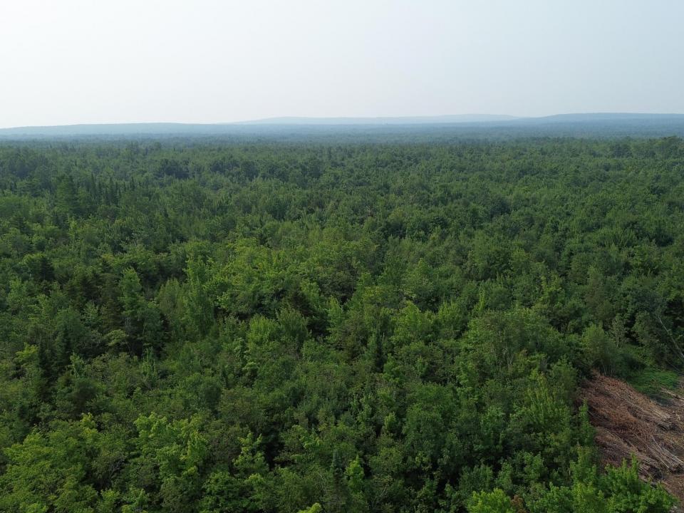 DJI_0491