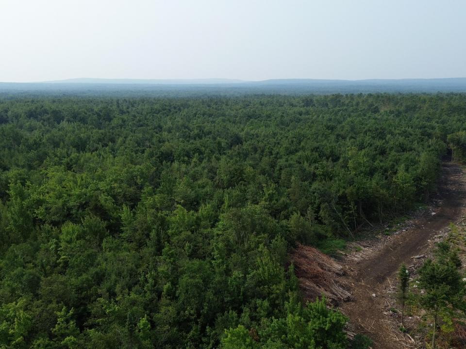 DJI_0492