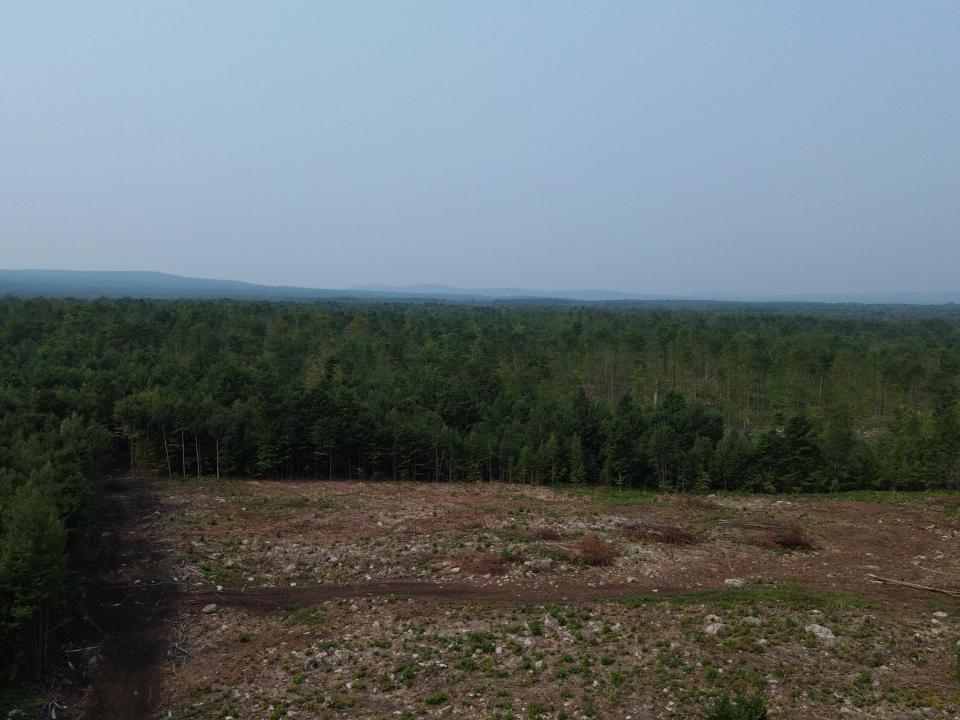 DJI_0497