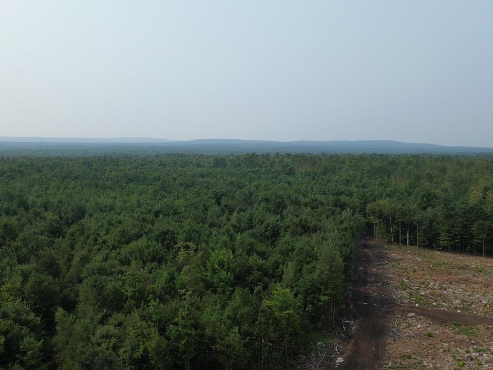 DJI_0499
