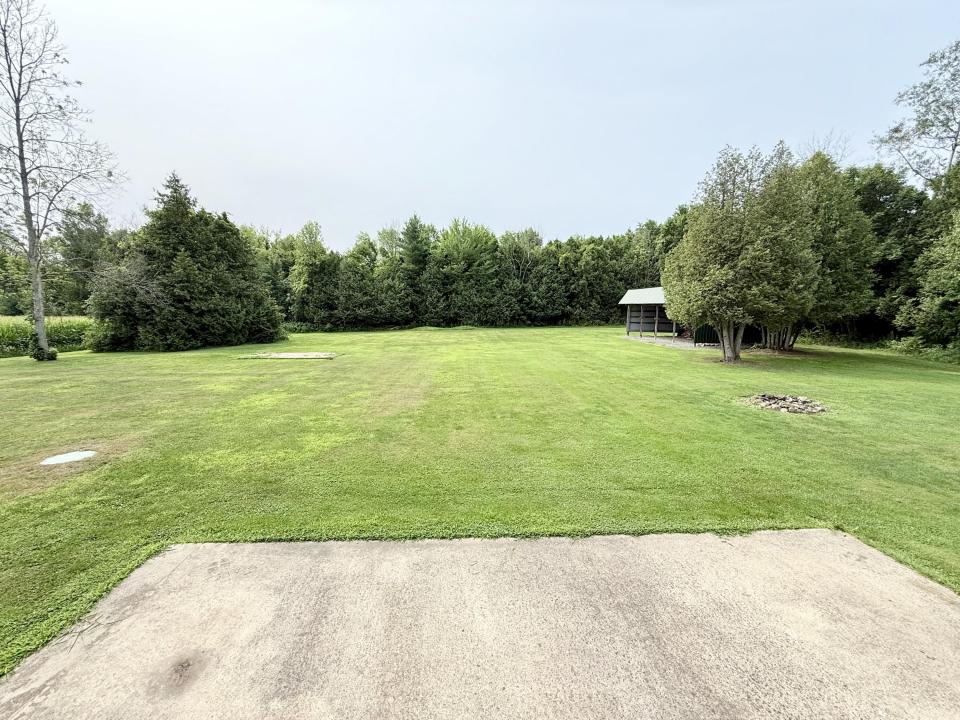 Back yard