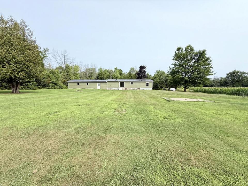 Back yard