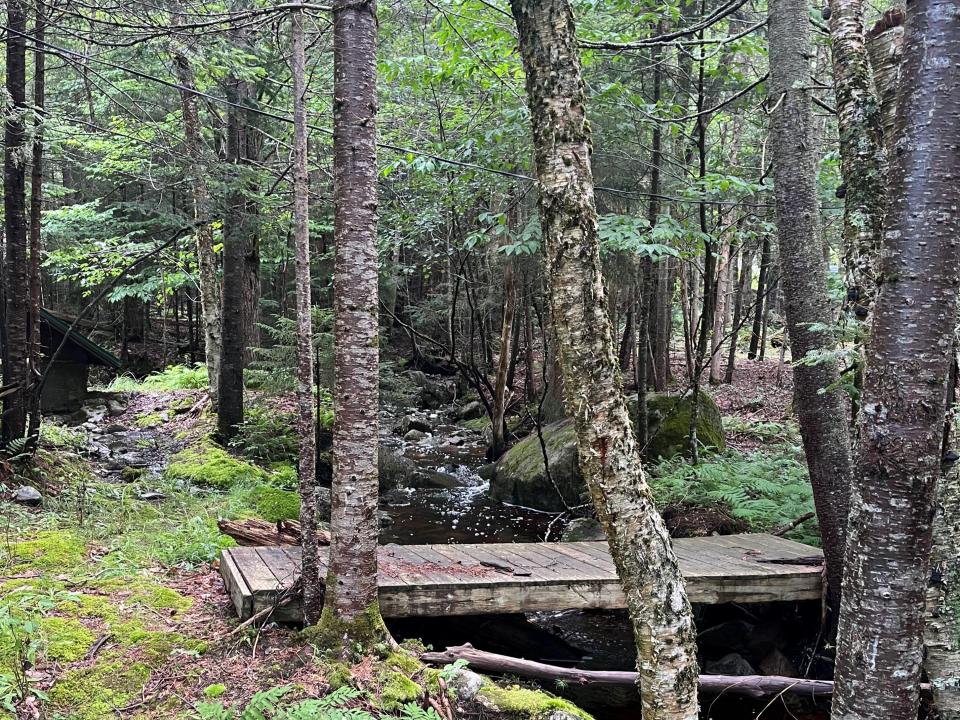 Stream