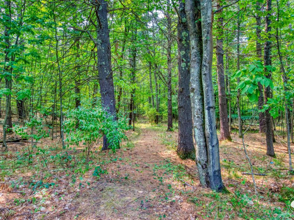 Trail from property