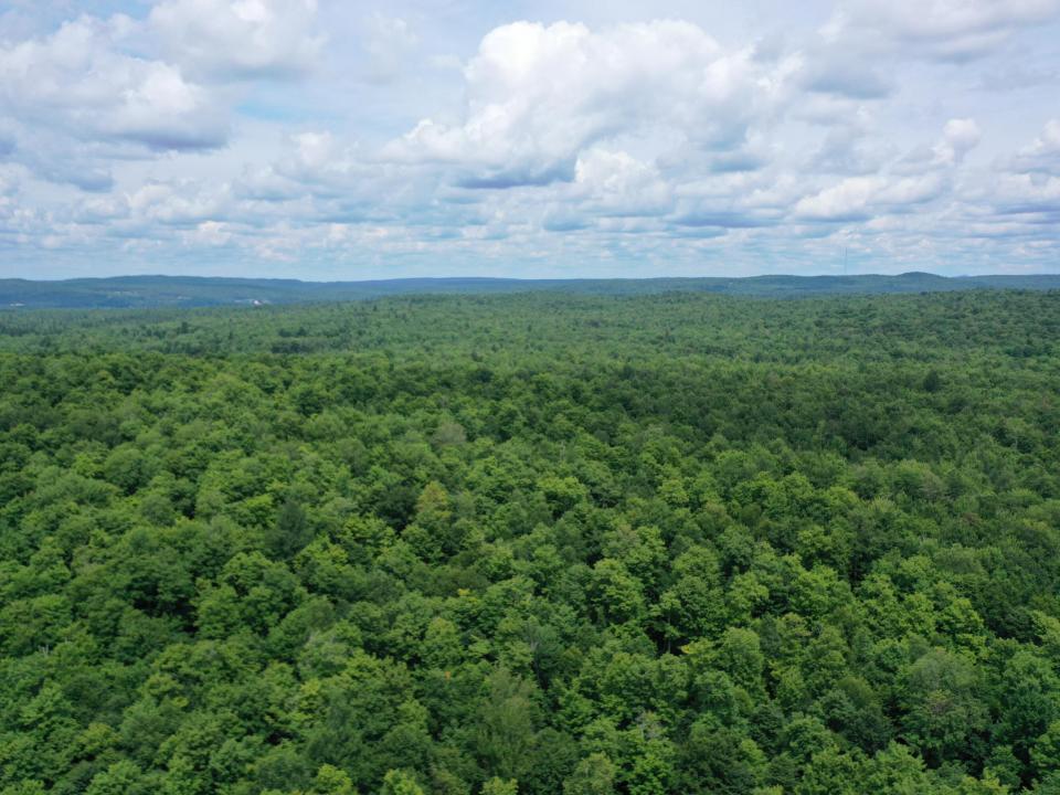 DJI_0018