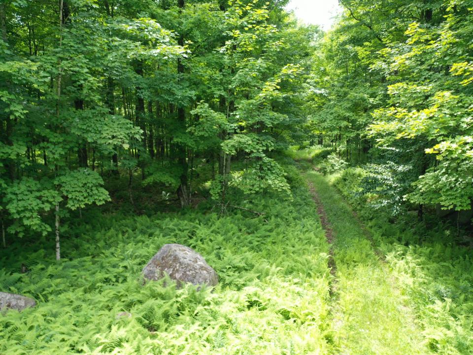 DJI_0035