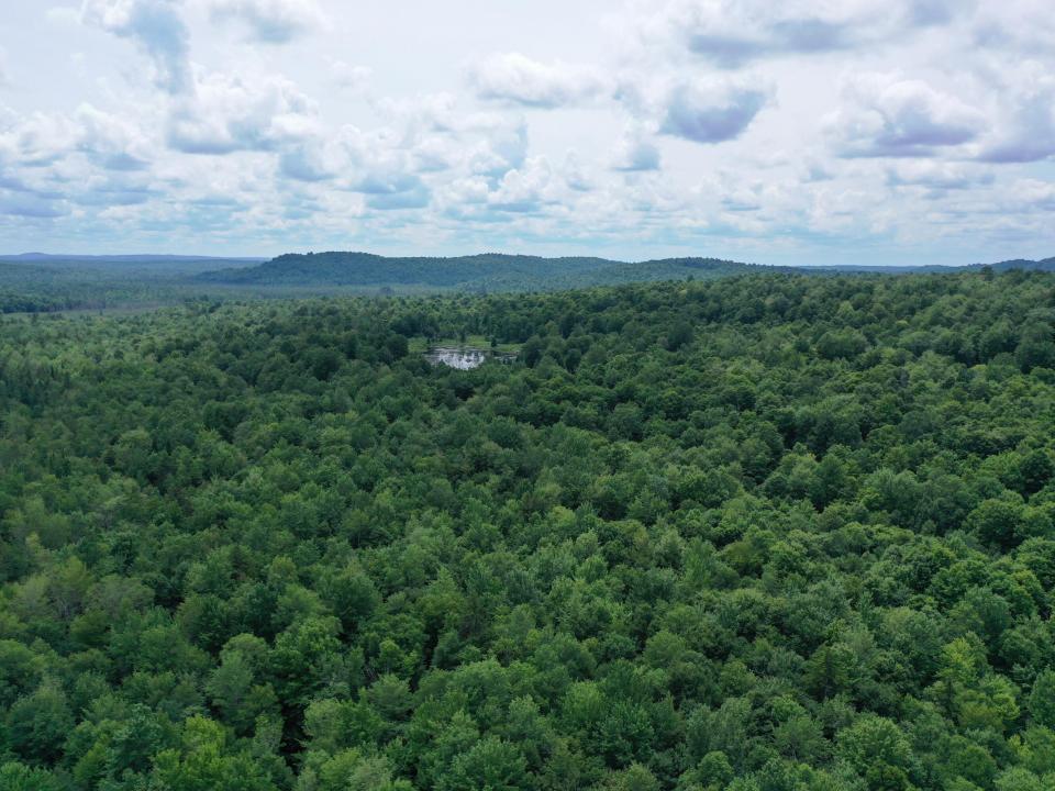 DJI_0972
