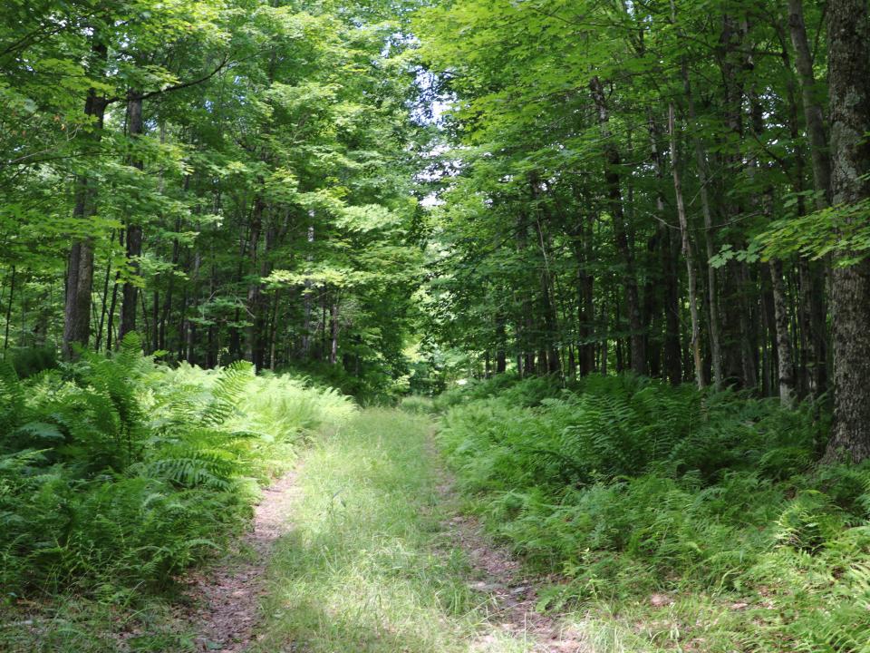 Interior Rd_IMG_4622