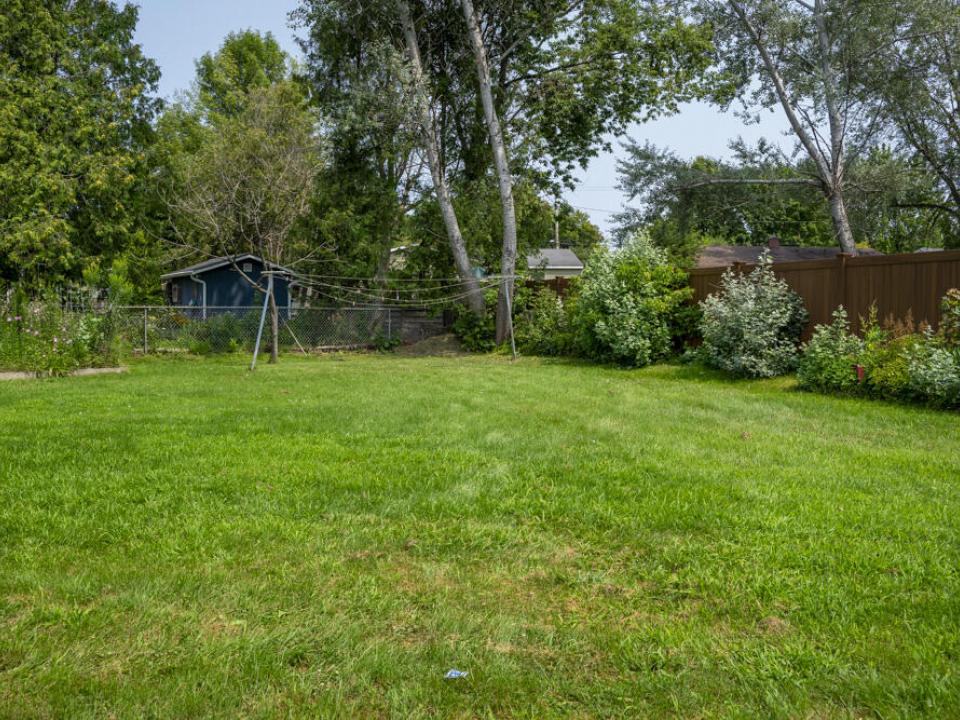 Back yard
