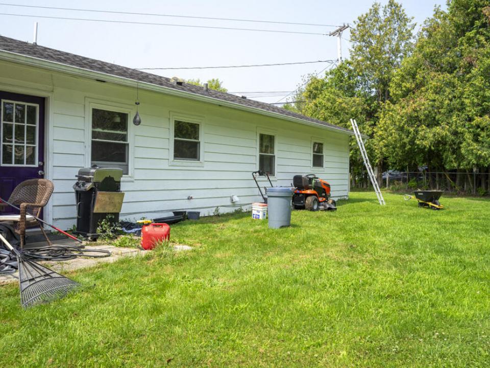 Back yard