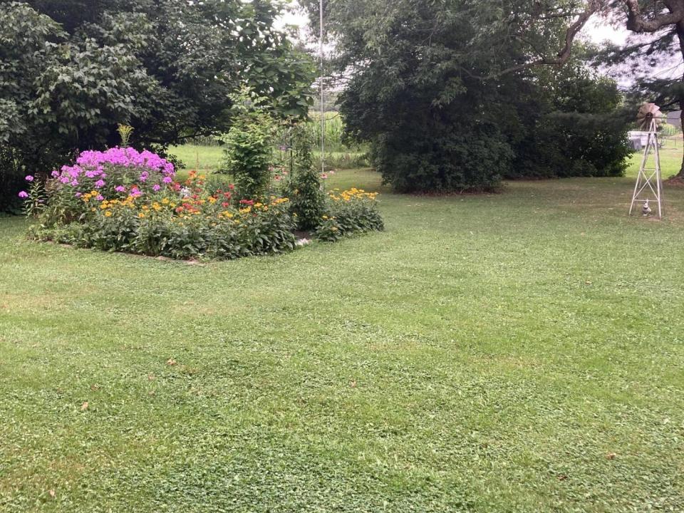Huge yard