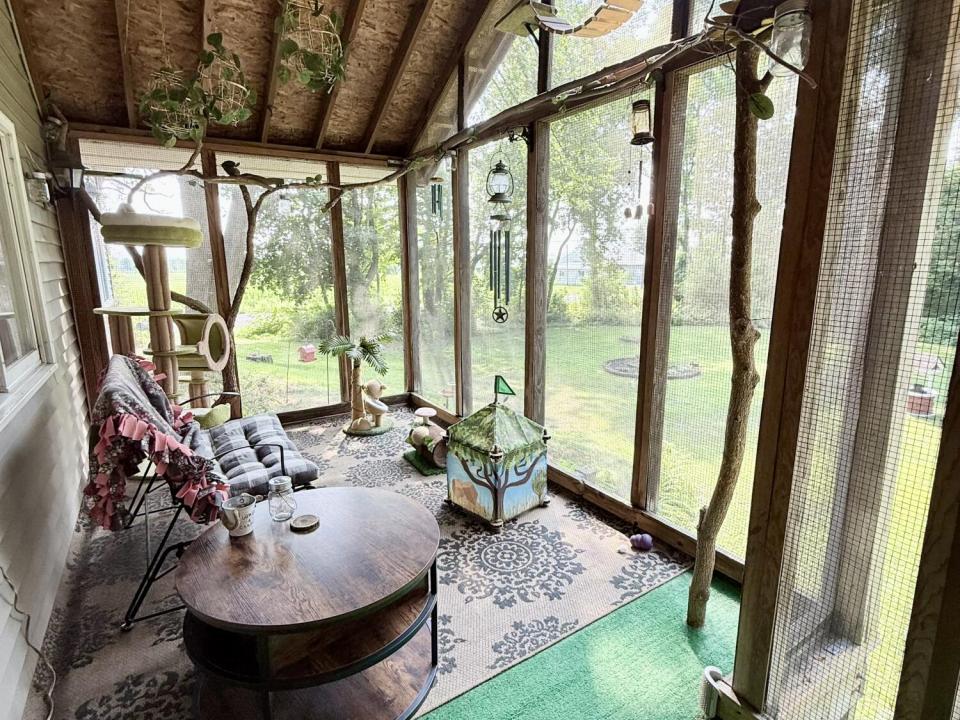 Catio