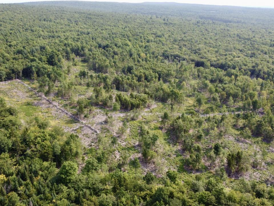 DJI_0955