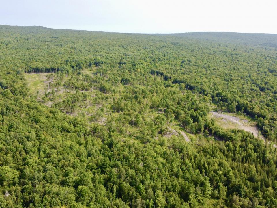 DJI_0954