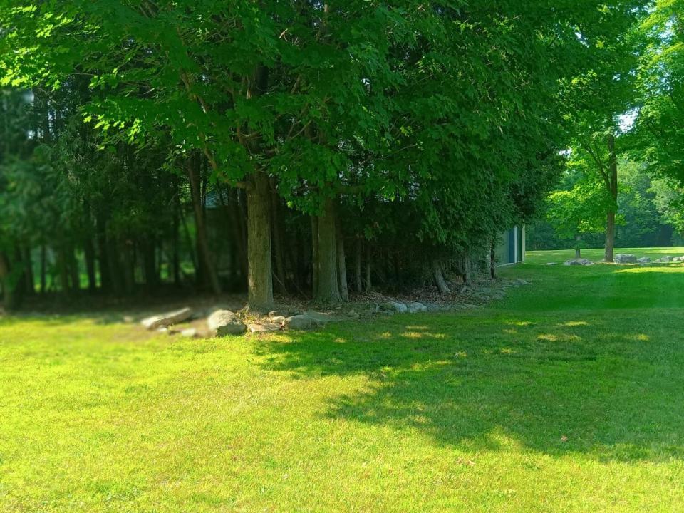 IMG_20250807_160921