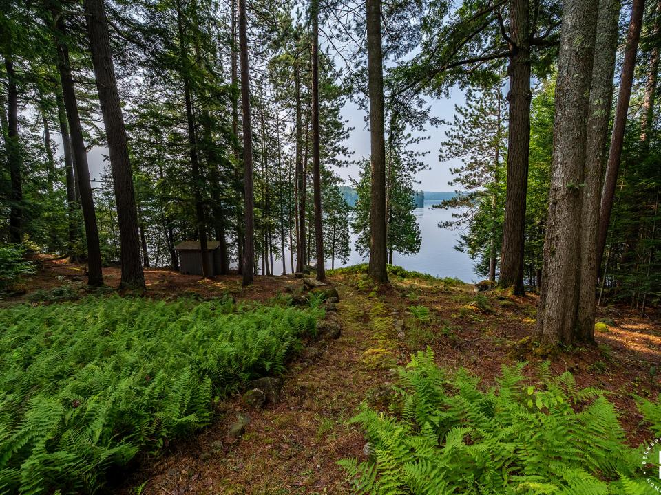 GilpinBayHomeOnUpperSaranac_Path_To_Lake