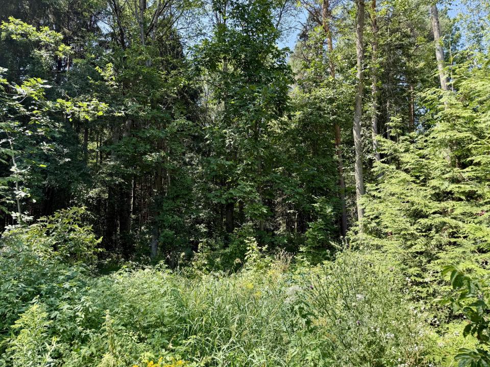 Acreage