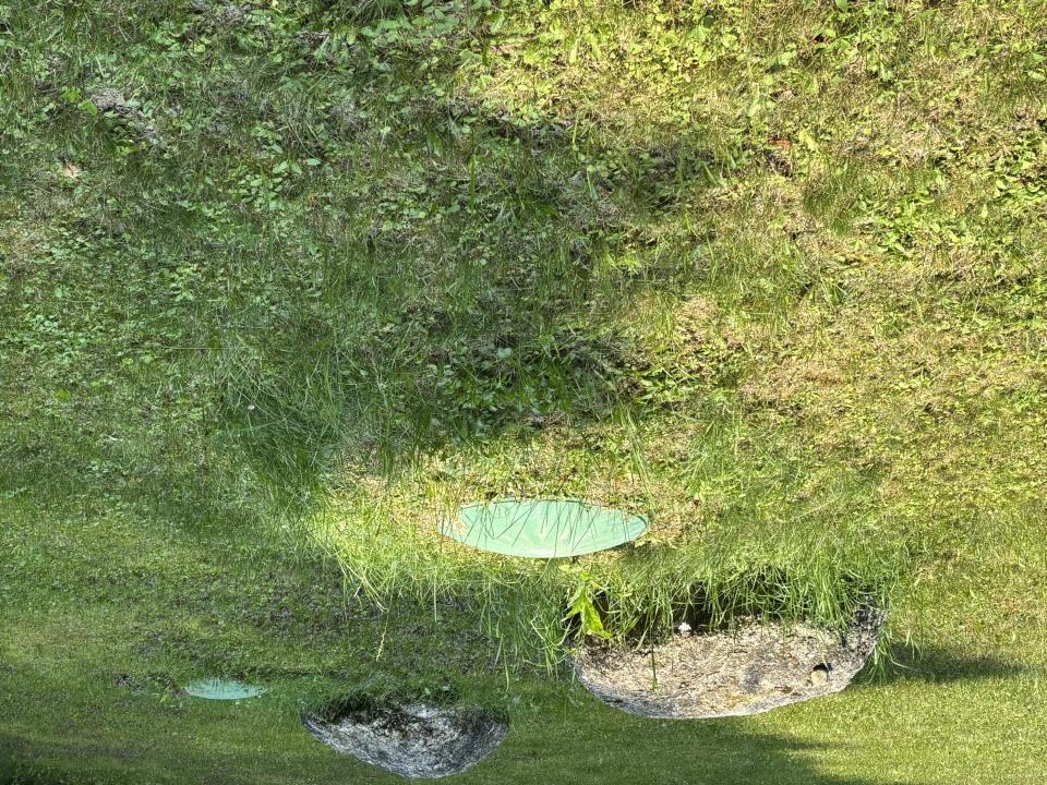 IMG_1982