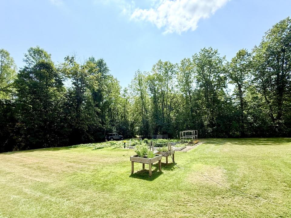 Back yard