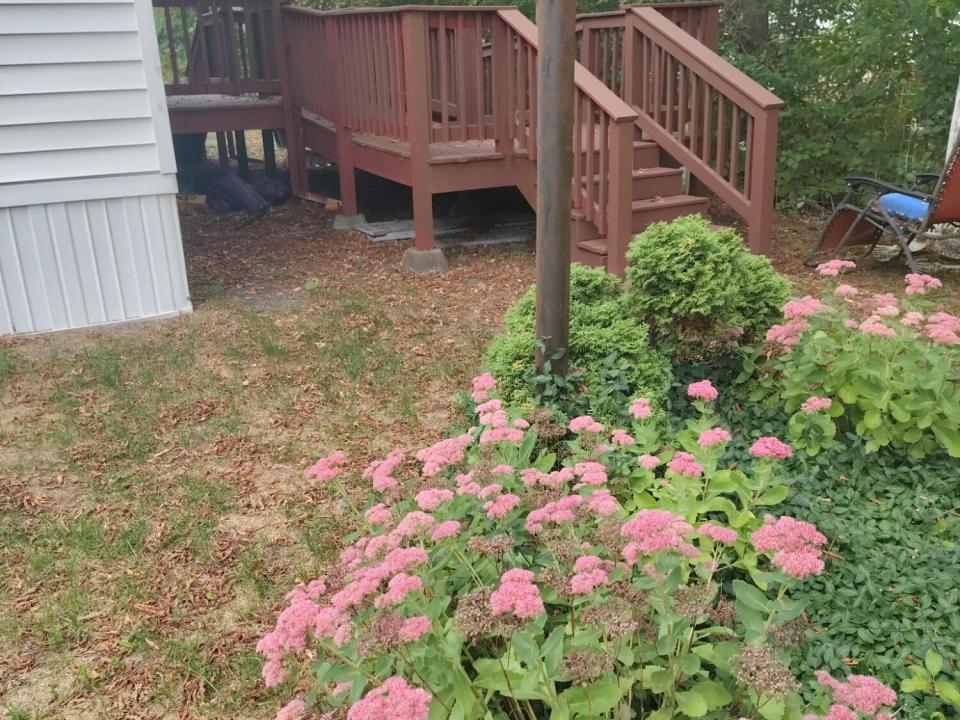 4188830506847397334 (1)