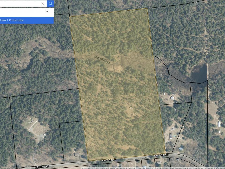 Screenshot 2025-08-13 at 12.47.55PM