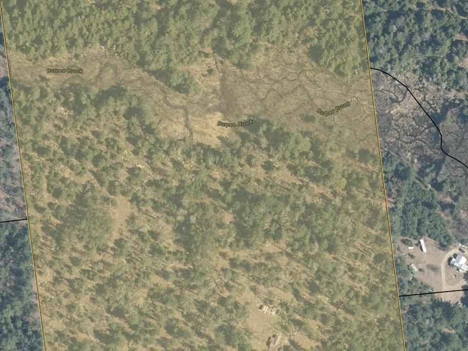 Screenshot 2025-08-13 at 12.48.18PM