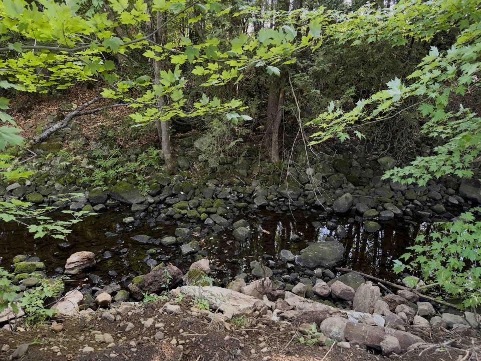 Brook/Stream