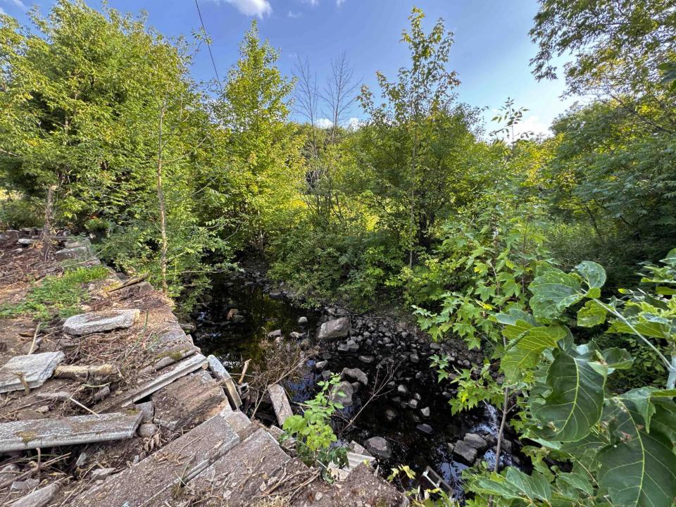 Brook/Stream