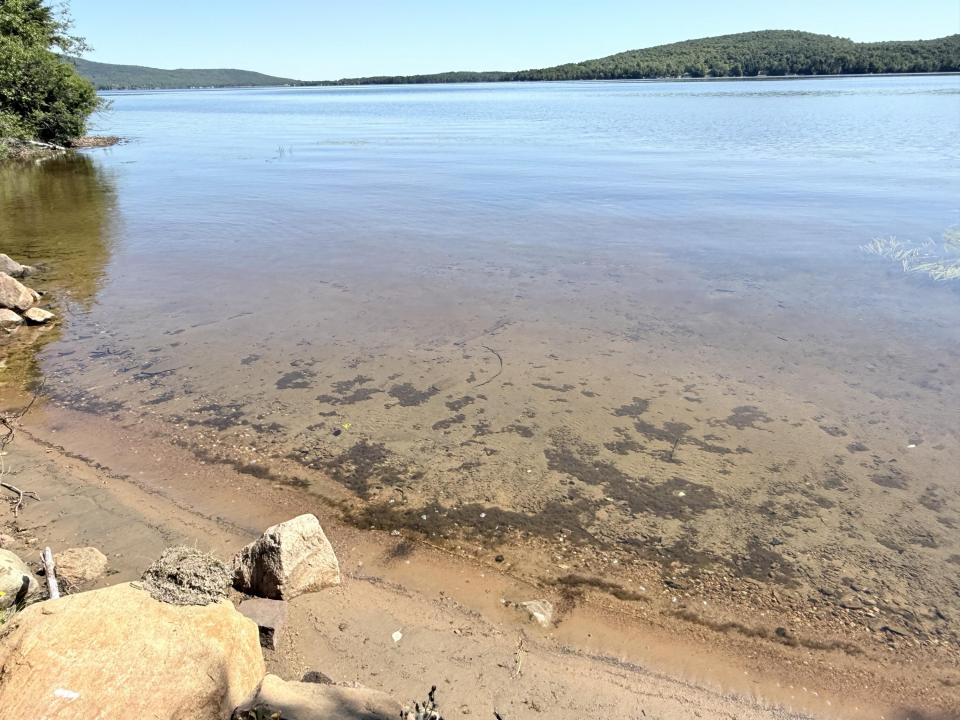 Lakefront