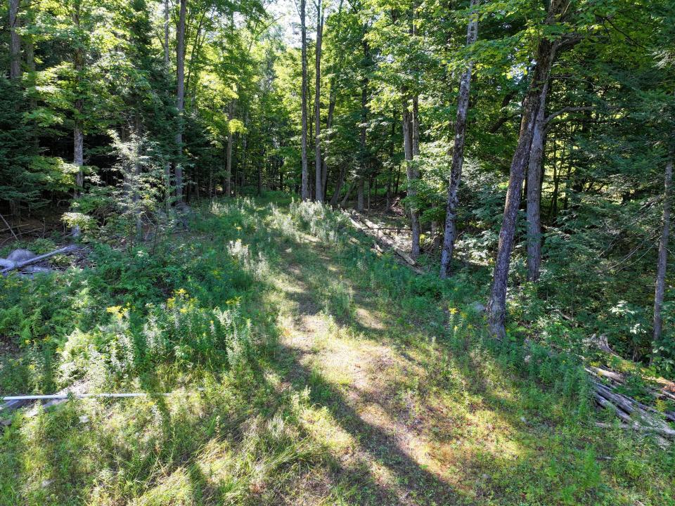 DJI_20250822100208_0533_D-2 (Copy)