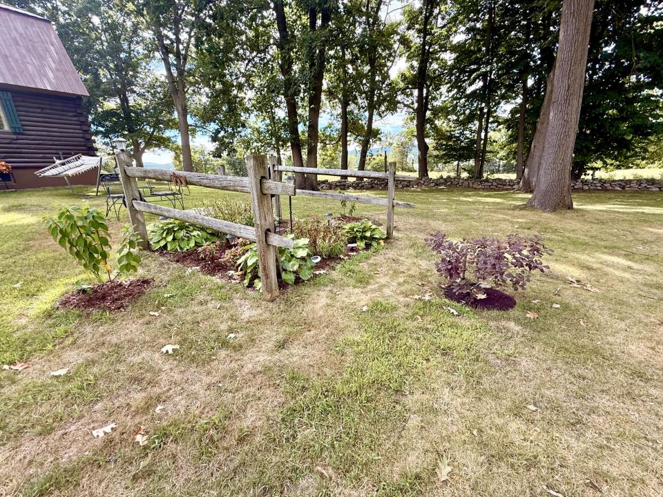 Front yard