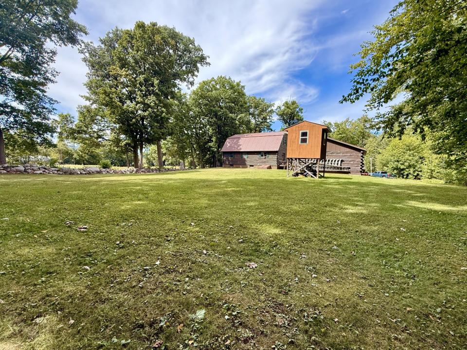 Back yard