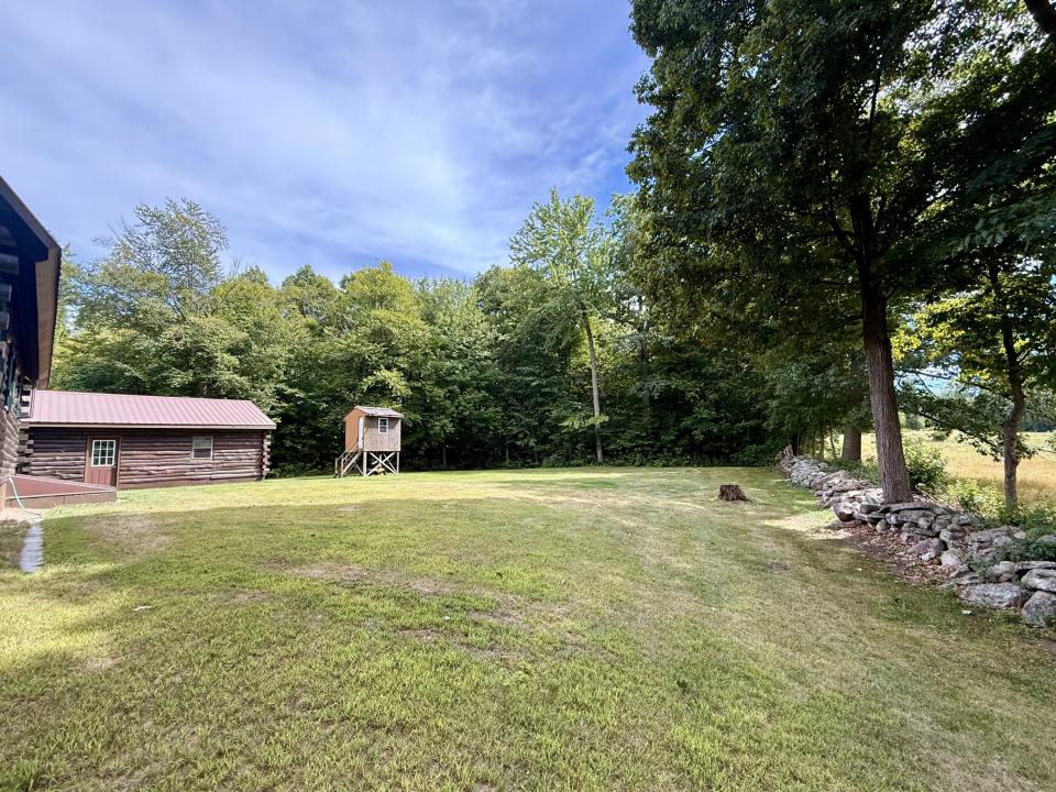 Back yard