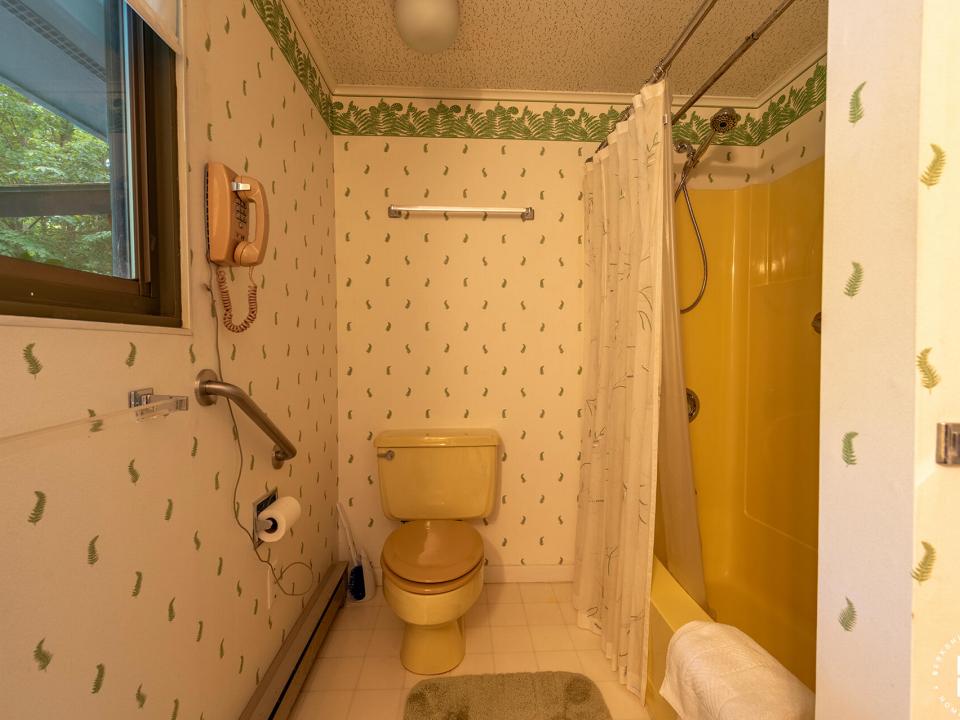 DearCrossingOnLakePlacid_Bathroom1
