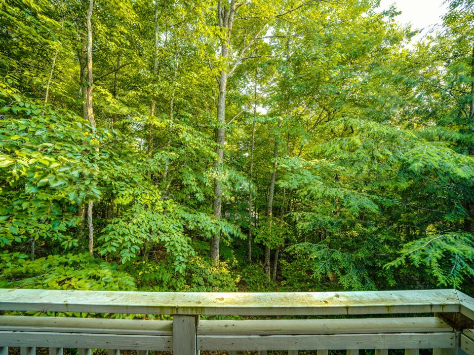 22 Fox Run Rd-69