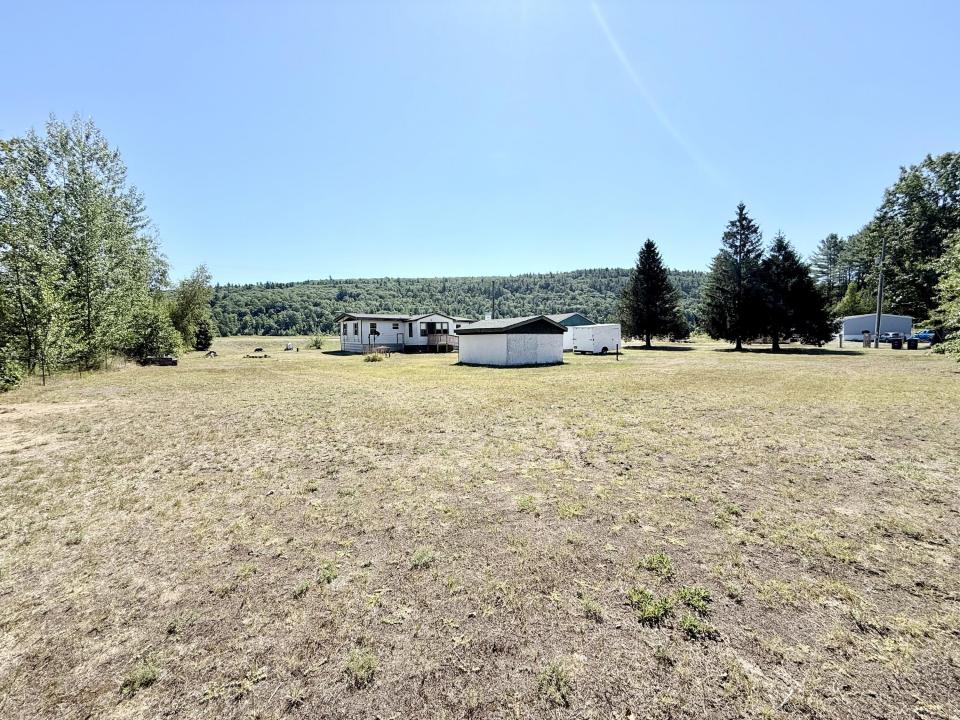 Back yard